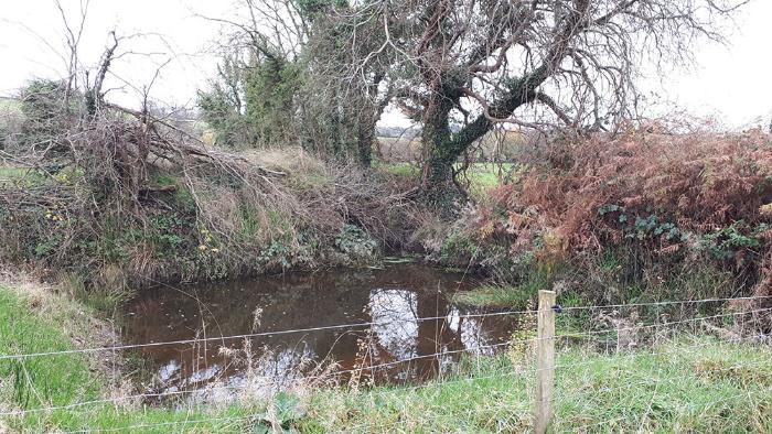 TResearch Autumn 2024