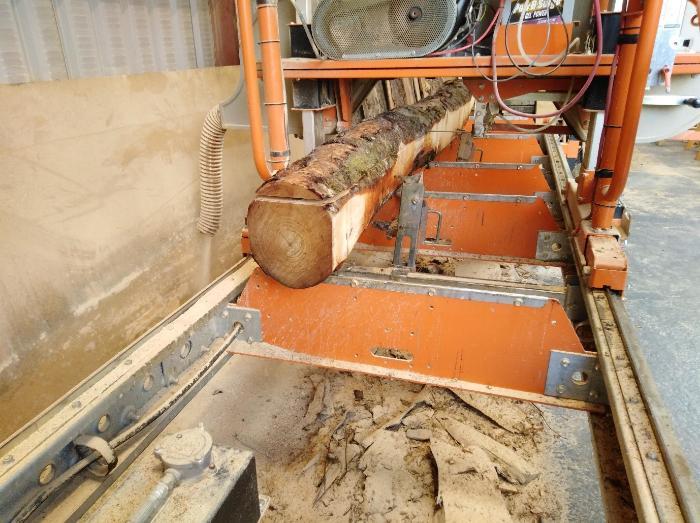 Small diameter alder log being processed into planks on ATUs mill