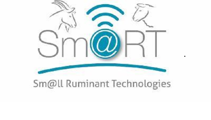 Sm@RT demonstrates digital technologies to improve efficiency of small ruminant production