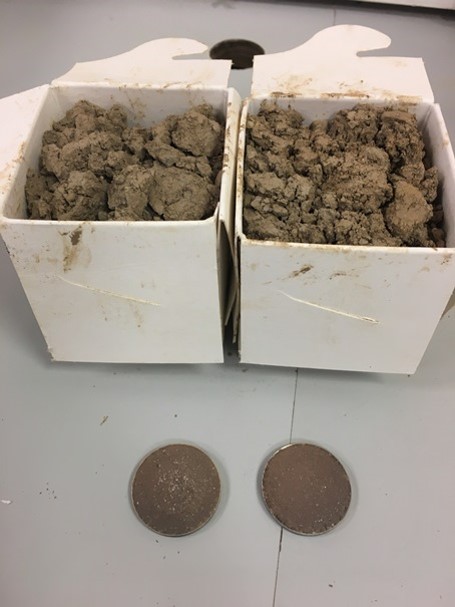 Soil Samples