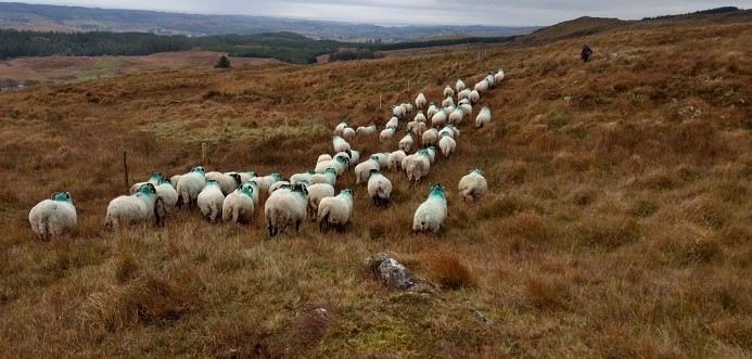 Teagasc Ceardlann Ríomh Am Uáin i Ghleann Colm Chille