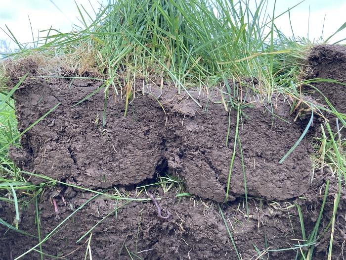 Soil structure – the foundation of farming
