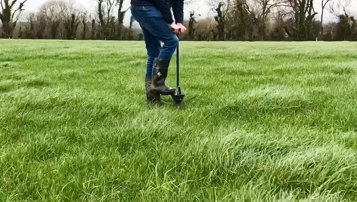 Photo of someone taking a soil sample