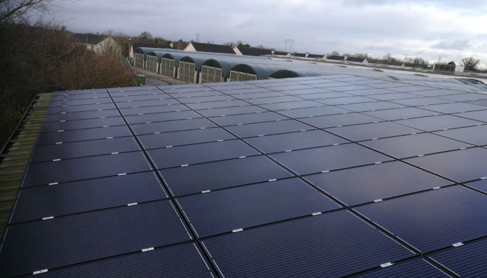 Energy options in horticulture