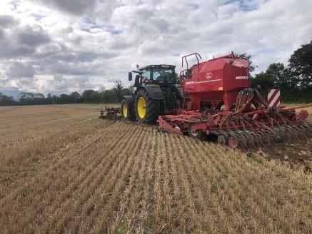 Cover crop timing is just around the corner