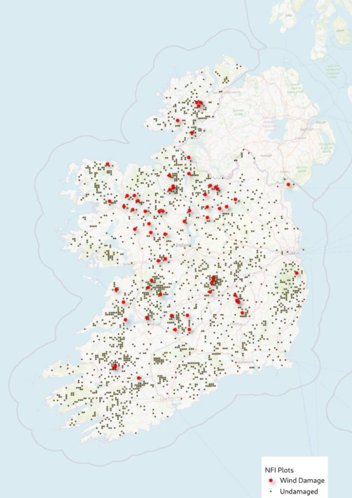 Spatial distribution of NFI plots including wind damaged plots