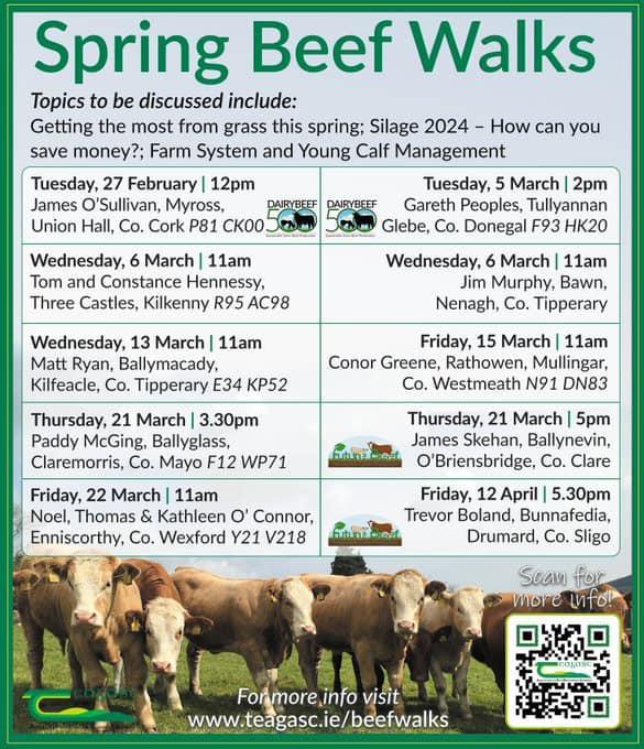 Spring Beef Walks 2024