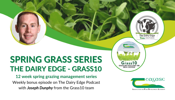 Spring Grass Series - Grazing update with Joe Murphy, Co Kilkenny