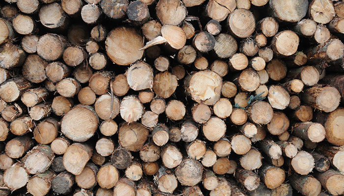Let’s Work with Wood - our most versatile and renewable resource