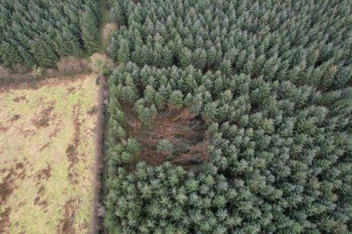 Storm damage aerial shot Image courtesy of Peter Farrelly