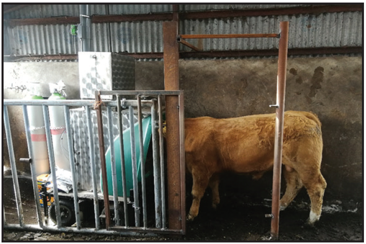 The first GreenFeed Emissions Monitoring System used to estimate enteric methane emissions at the ICBF Progeny Performance Test Centre in Tully (Co. Kildare).