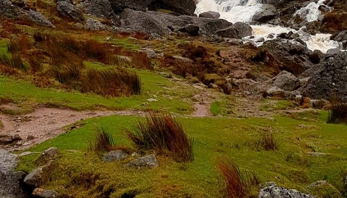 Gaining Wellness around Christmas Time