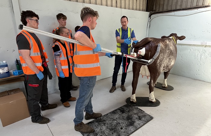 Students at Kildalton College being shown the correct use of a calving jack