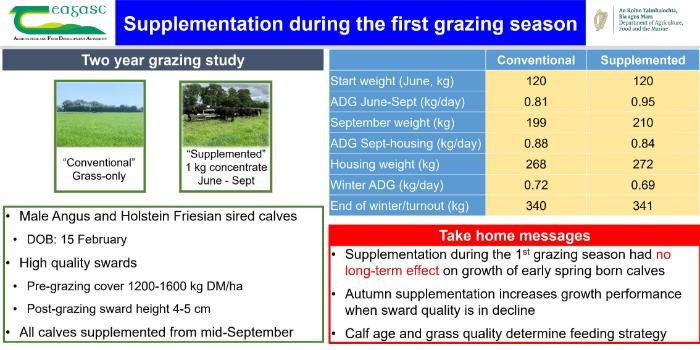 Supplementation during the first grazing season