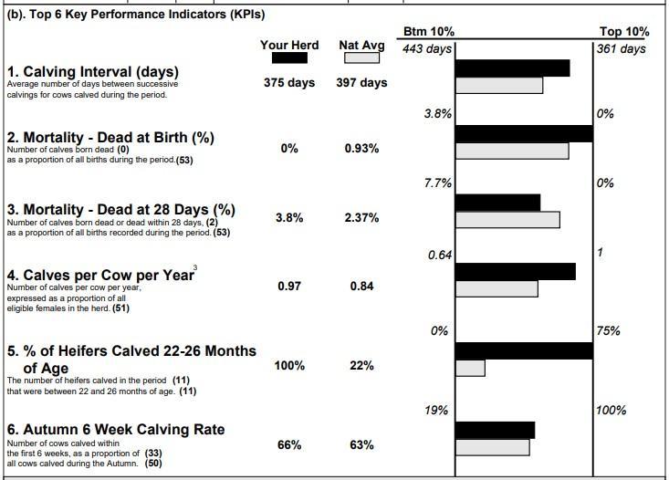 Calving report 2024