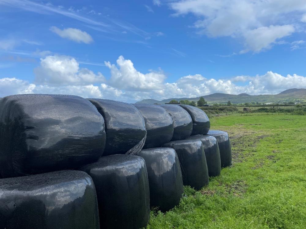 Silage bales