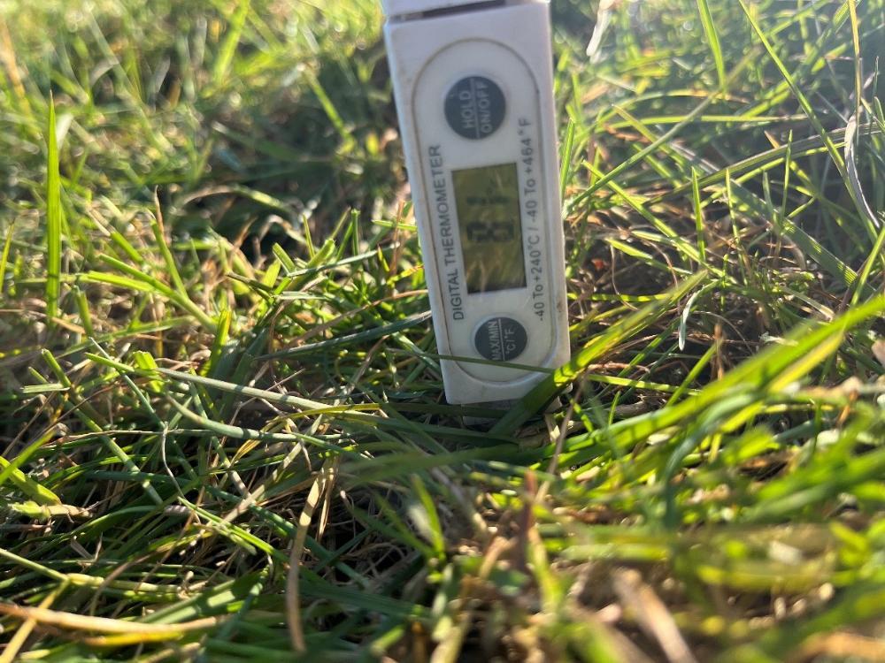 Soil thermometer in ground