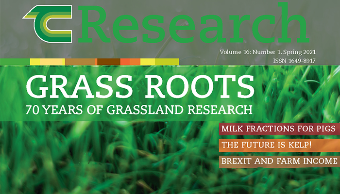 TResearch Spring 2021