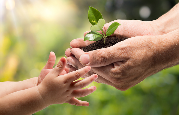 Planning for the smooth transfer of the family farm
