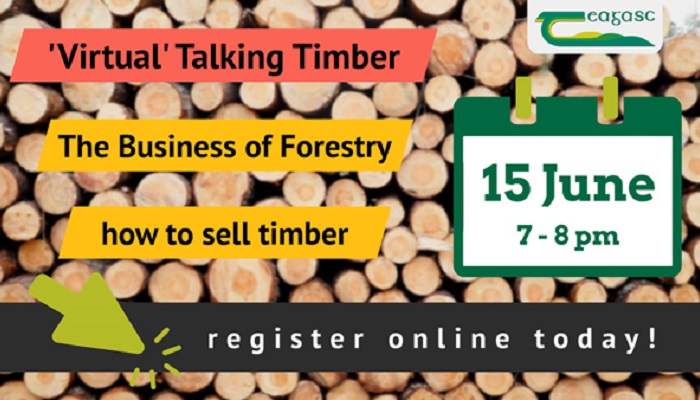 Talking Timber 2021 The Business of Forestry / how to sell timber