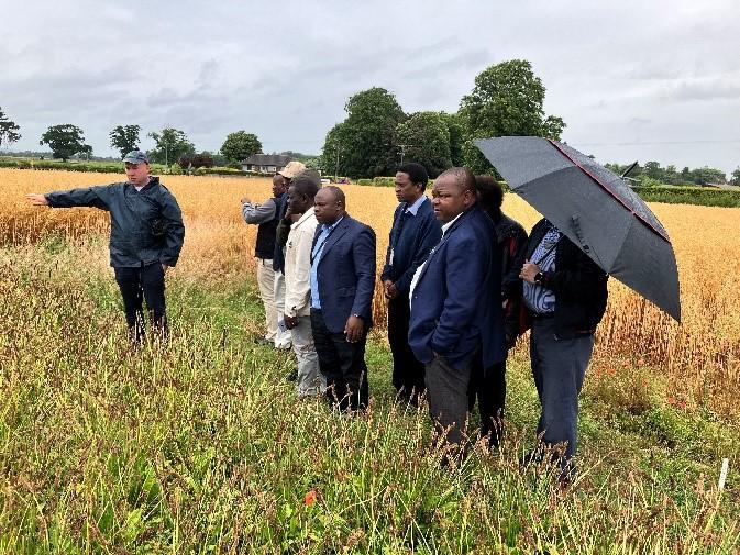 Tanzanian group discuss forage breeding with Dr Pat Conaghan Teagasc Oak Park