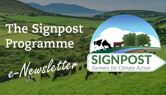 Teagasc Signpost Programme Newsletter November 2021