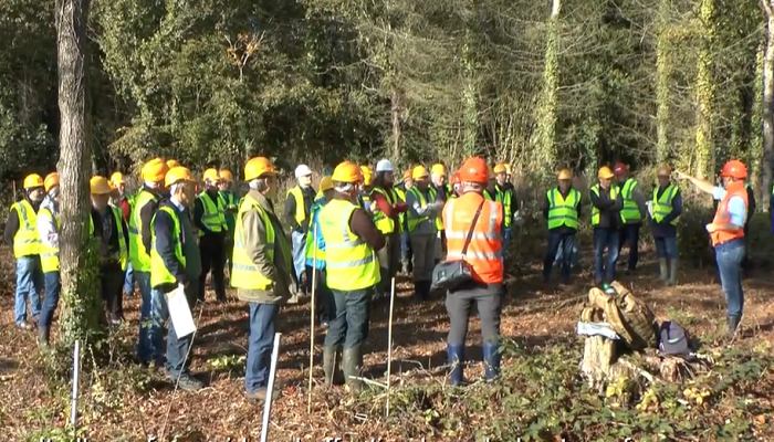 Teagasc Forestry Development Department  - Overview