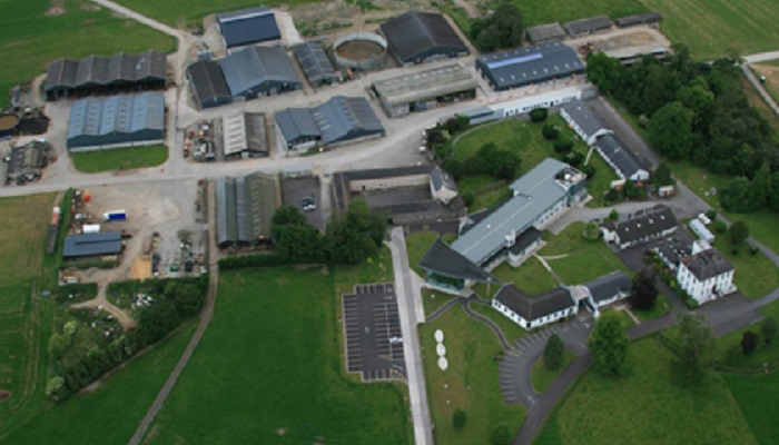 Bovine Respiratory Disease (BRD) research at Teagasc Grange