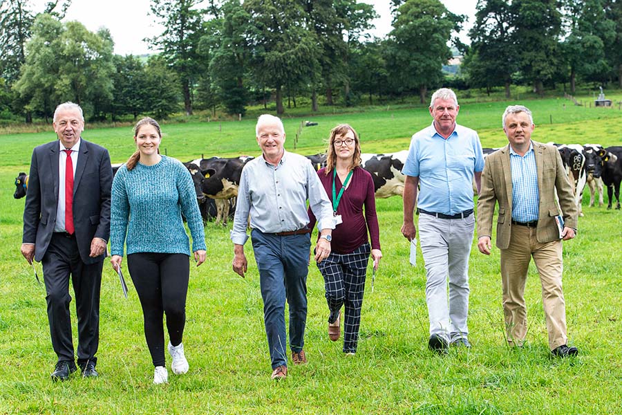 Teagasc launch new guide to tackling lameness in dairy cows