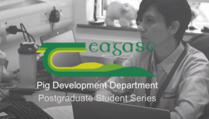 Roberta Maria D’Alessio PhD Student Pig Development Department