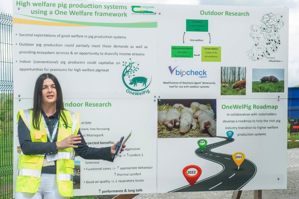 Over 170 pig producers and industry stakeholders attended Teagasc Pig Open Day