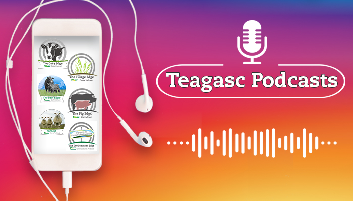 Do you listen to podcasts?