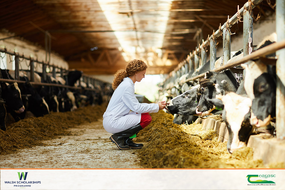 Nominations now open for Teagasc Walsh Scholars Alum Award 2020