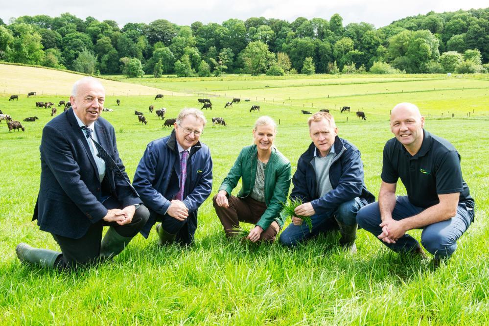 Improving Water Quality with Trees on Farms