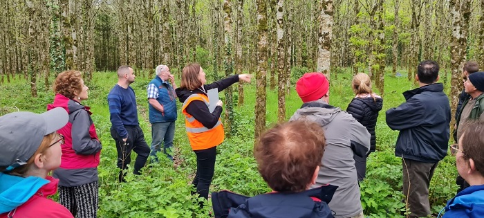 Teagasc training course in a forest