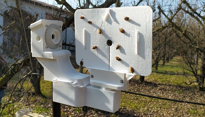 Using artificial intelligence to monitor invasive insect species in Europe