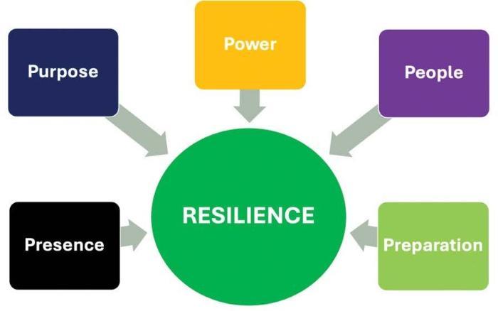 The 5 Ps of Resilience: Presence, Purpose, Power, People, and Preparation