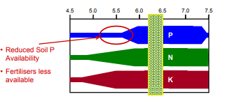 The impact of soil pH on nutrient availability