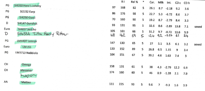 The mix of bulls Michael intends to use