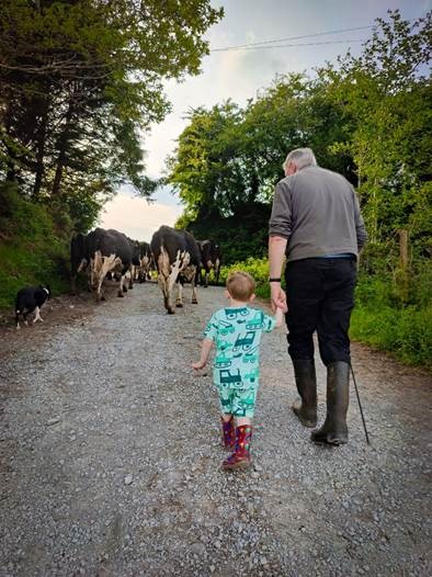 This is dairy photo comp winner 2023