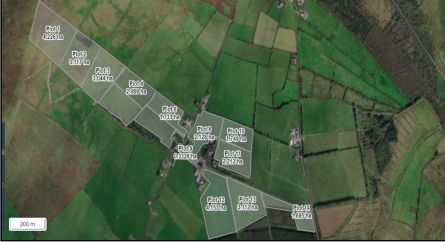 Thomas Kavanagh farm map