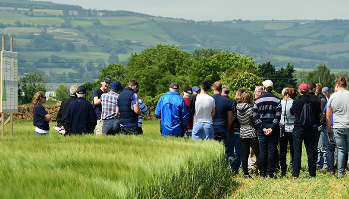 Teagasc Crops Trials Event - Thursday