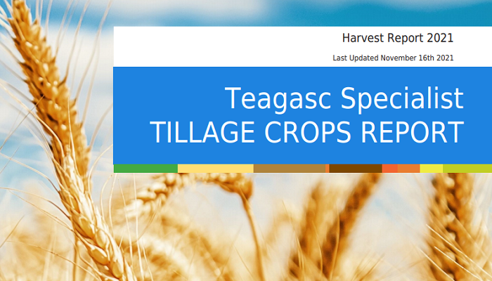2021 Harvest estimated at 2.32 million tonnes