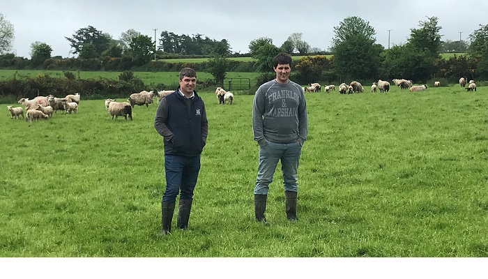 Lambing review and planning ahead in the South East