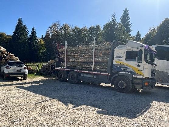 Timber leaving Cansiglio