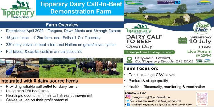 Tipperary Dairy Calf-to-Beef Demonstration Farm - details in text
