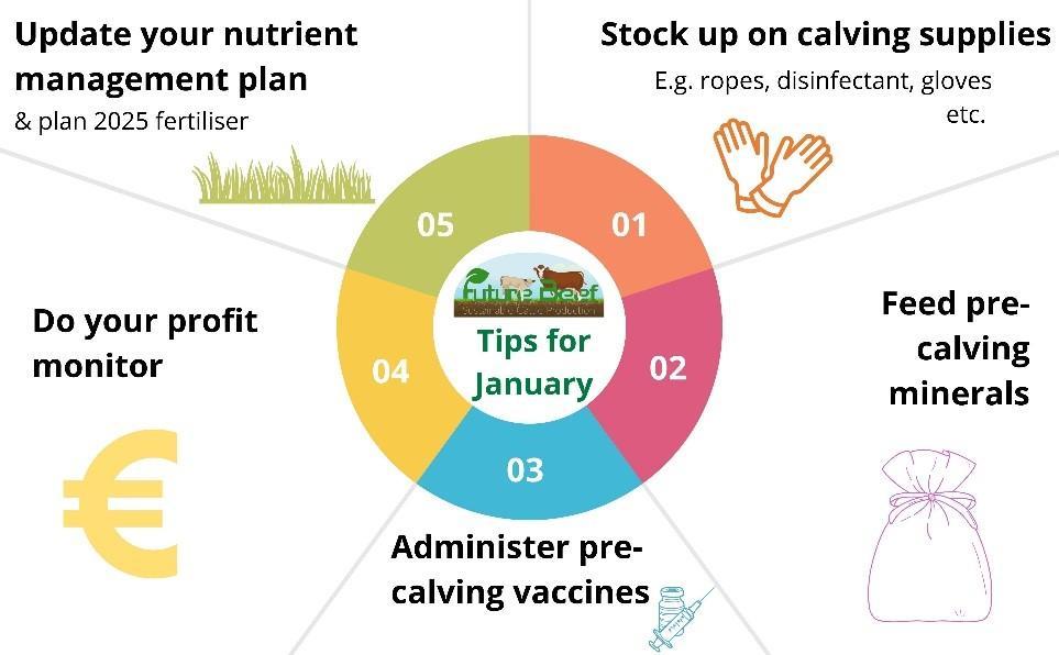 Top tips for January 2025