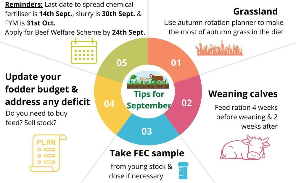 Top tips for September