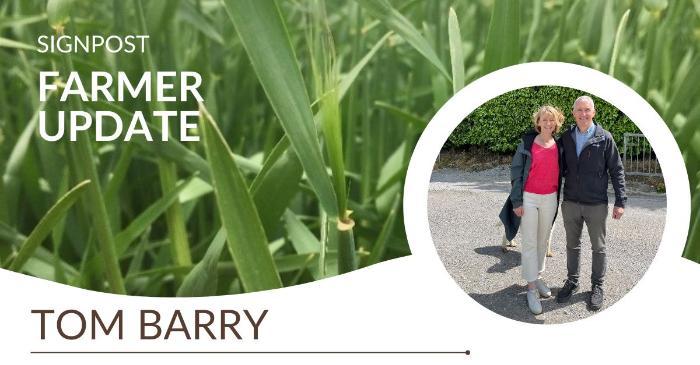 Reviewing yields with Signpost farmer Tom Barry