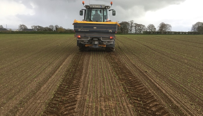 CAN versus protected urea